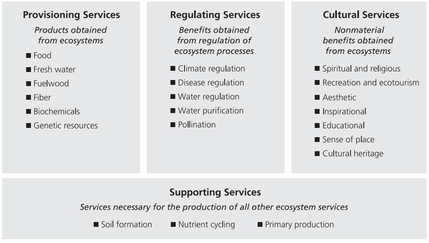 Figure 13 Ecosystem Services.
