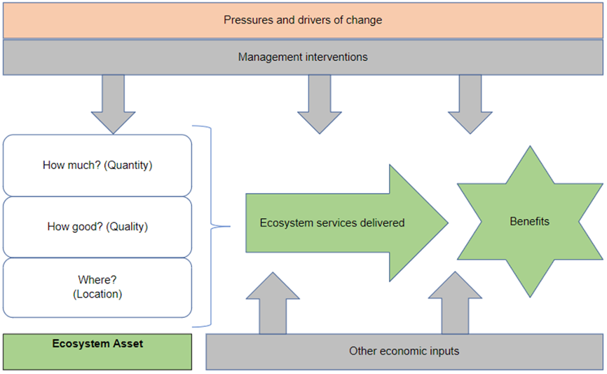 Figure 14 The Natural Capital Framework.