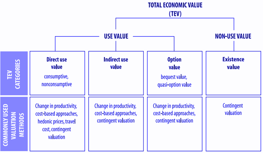 Figure 15 The Total Economic Value Framework